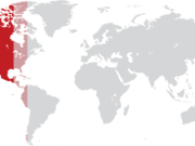 Disadvantages of global outsourcing: Timezone Issues