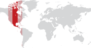 Disadvantages of global outsourcing: Timezone Issues